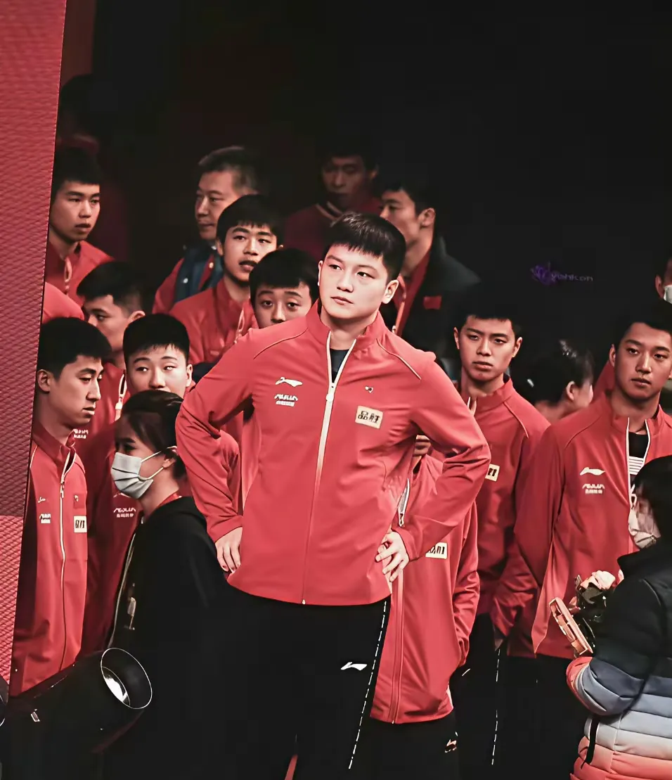 葡萄牙队鏖战韩国队，樊振东状态火热的简单介绍