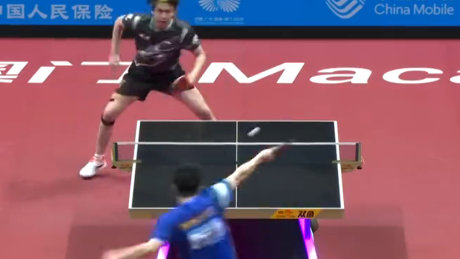 日本队逆转法国队,樊振东带队取胜 日本队逆转法国队,樊振东带队取胜